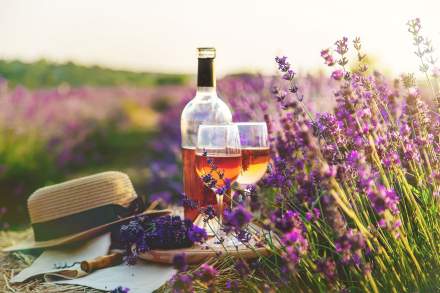 vin rosé et lavande en provence