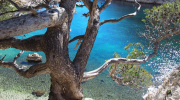 La Côte Bleue, Calanque