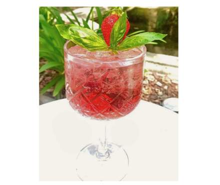 La Bastide Bourrelly Bar cocktail aix en provence - Rose en provence